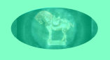 120929_antique_slipper_chair_wingback_elegant_depression_glass_inarco_head_vases001028.jpg